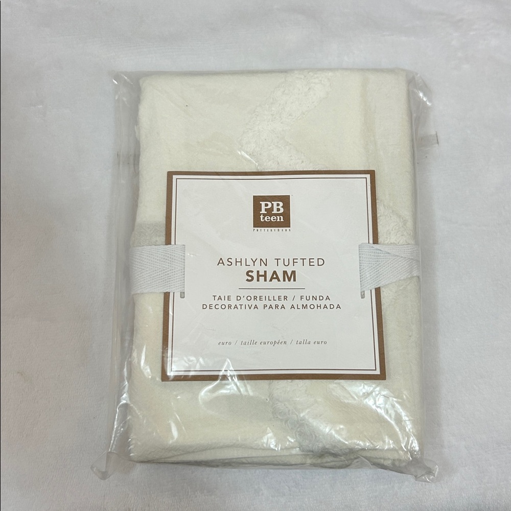 Pottery Barn Teen Ashlyn Tufted Euro Sham, NIP